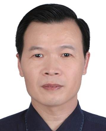 ������Ƭ